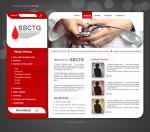 <p>
	<a href="http://www.ssctg.org" target="_blank">http://www.ssctg.org</a></p>
